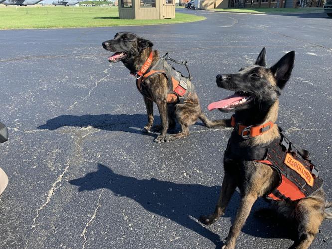 Kentucky Air National Guard Search and Rescue K-9 Callie, Pits