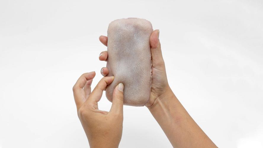 Artificial Skin Phone Case Fox News.jpg