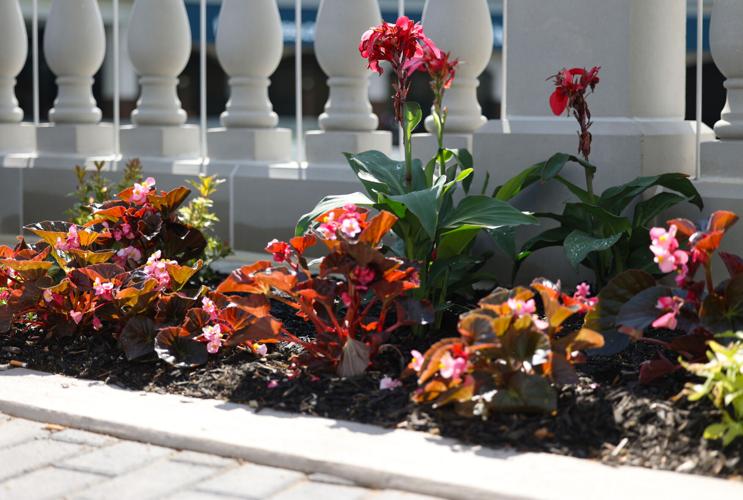 Flowers at Churchill Downs on April 24, 2024.JPG