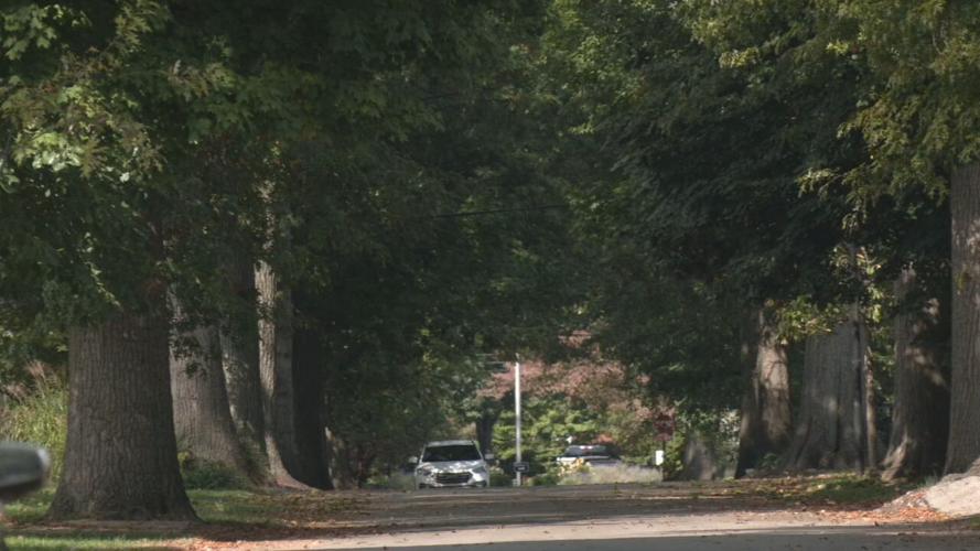 AUDOBON PARK CRIME HIKE.jpeg