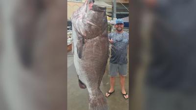350 Pound Fish