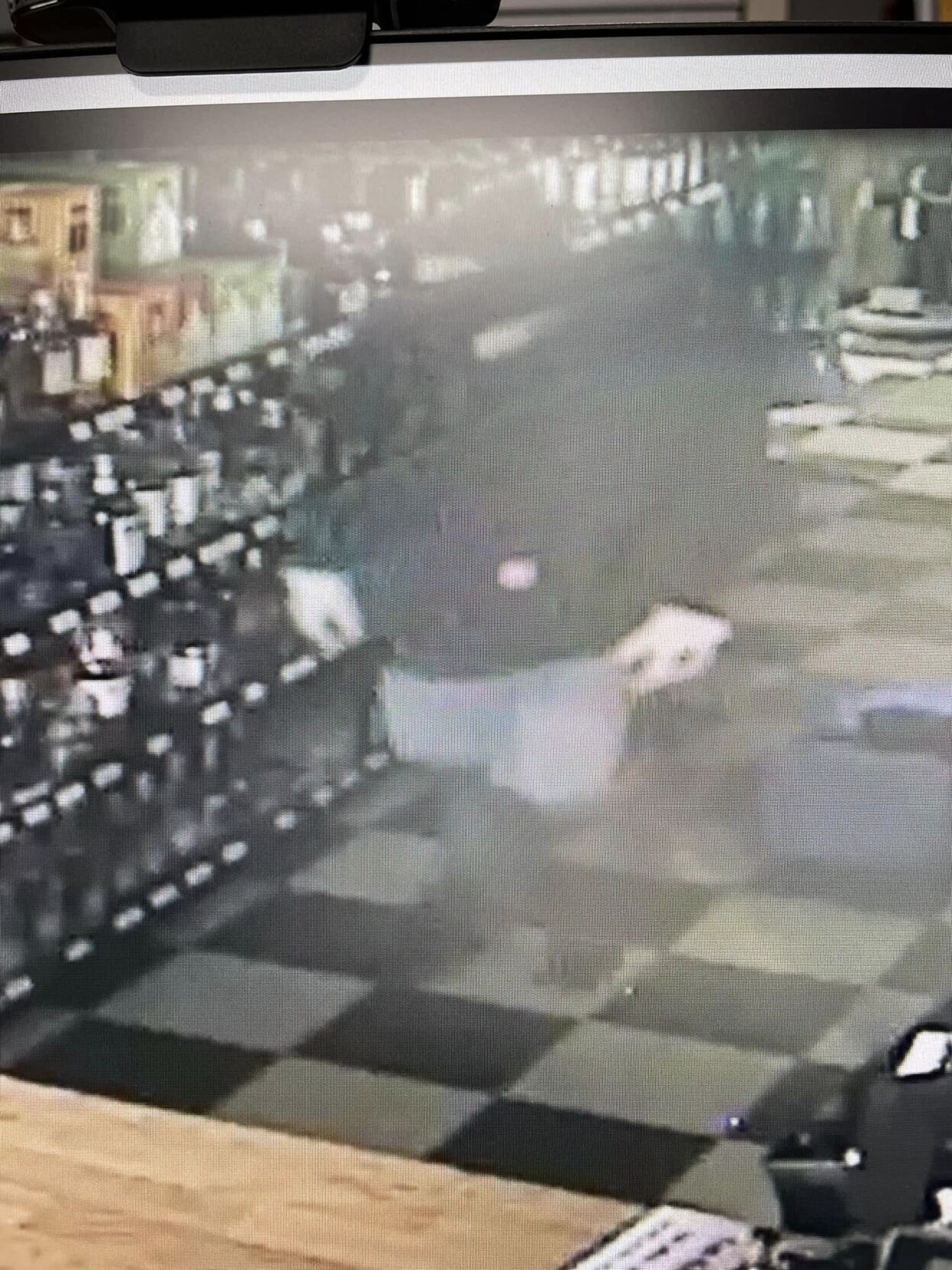 Mt Washington robbery suspect.jpg