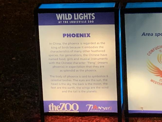 Wild Lights at Louisville Zoo