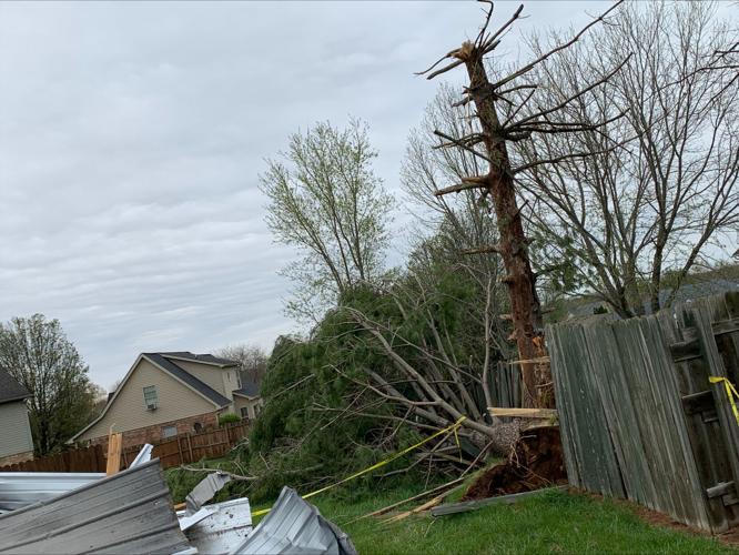 STORM DAMAGE - CORYDON INDIANA OFF SR 337  - 4-6-2023 (3).jpeg