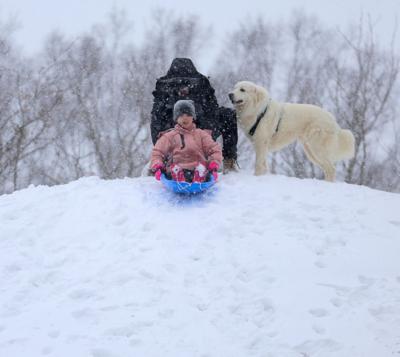 Family sleds  in Louisville snow - Jan. 5, 2025.JPG