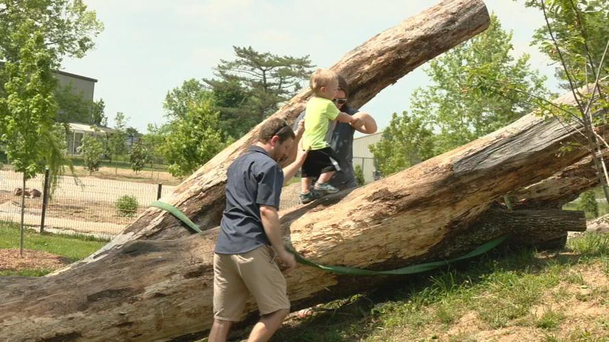 Children play at a playground at Bernheim Forest