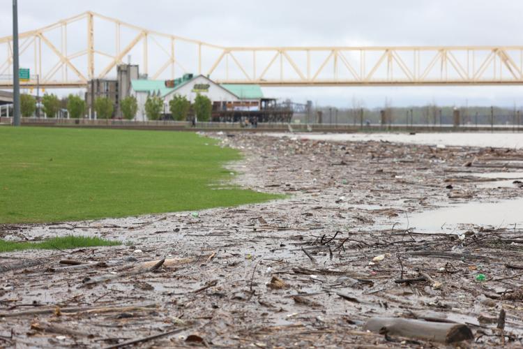 Debris and water on Great Lawn - April 6.JPG