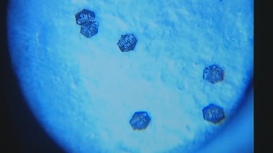 ProTech DNA property marking