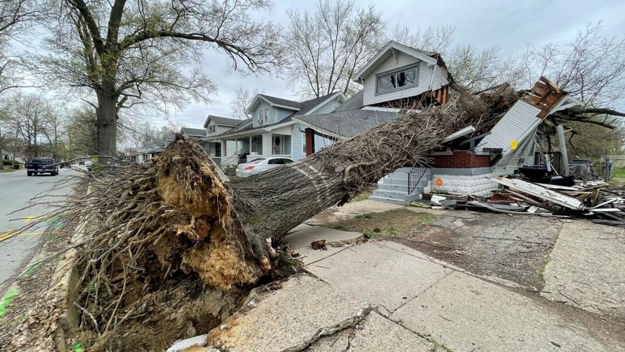 Tree on top of house off Central Avenue near Churchill Downs 4-6-23 (2).jpg