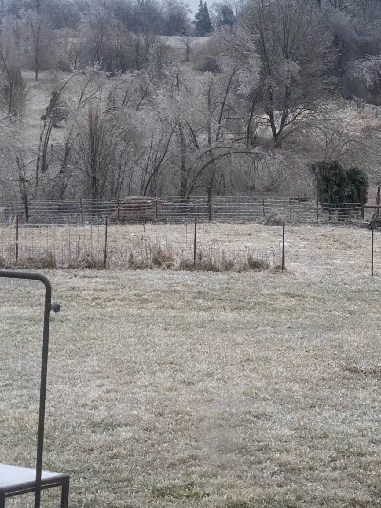 ICE - BARDSTOWN 2.jpg