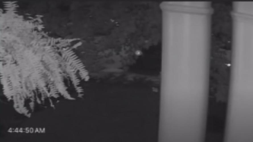 Andy Westberry stolen vehicle surveillance footage