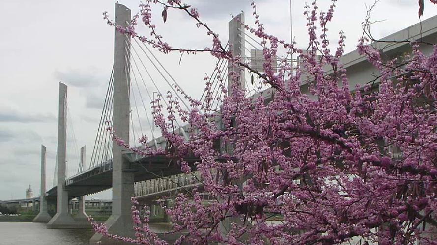 SPRING IN KENTUCKIANA.jpg