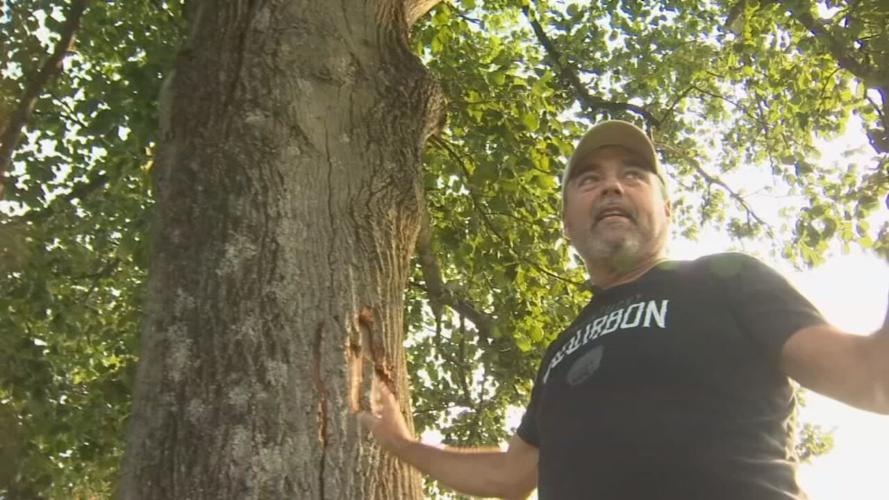 Doug Estep, of Woodford County, Kentucky, describes how he was struck by lightning in June 2023