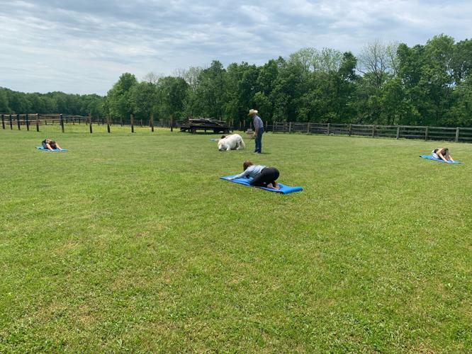 HORSE YOGA - SUTTER - 5-24-2022 5.jpg