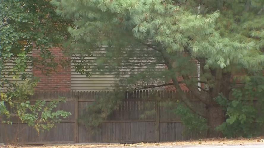 Baby found in Seymour - fence line