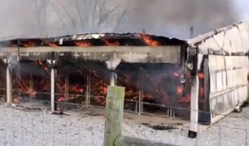 DOGGY STYLE KENNELS - BARDSTOWN FIRE 1.jpg