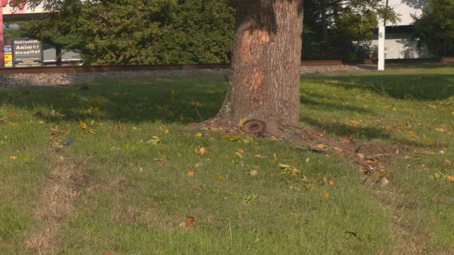 St. Matthews accident 10-24-21 (2).jpeg