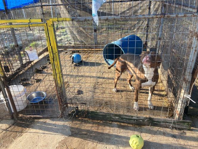 KHS ARKANSAS RESCUE  2.jpg