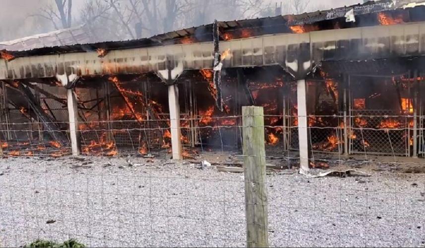 DOGGY STYLE KENNELS - BARDSTOWN FIRE 2.jpg