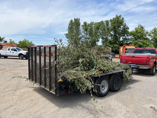 STORM DEBRIS DROP-OFF - MERIWETHER SITE - 7-8-2024 (1).jpg