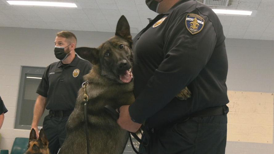 metro corrections k9s 1
