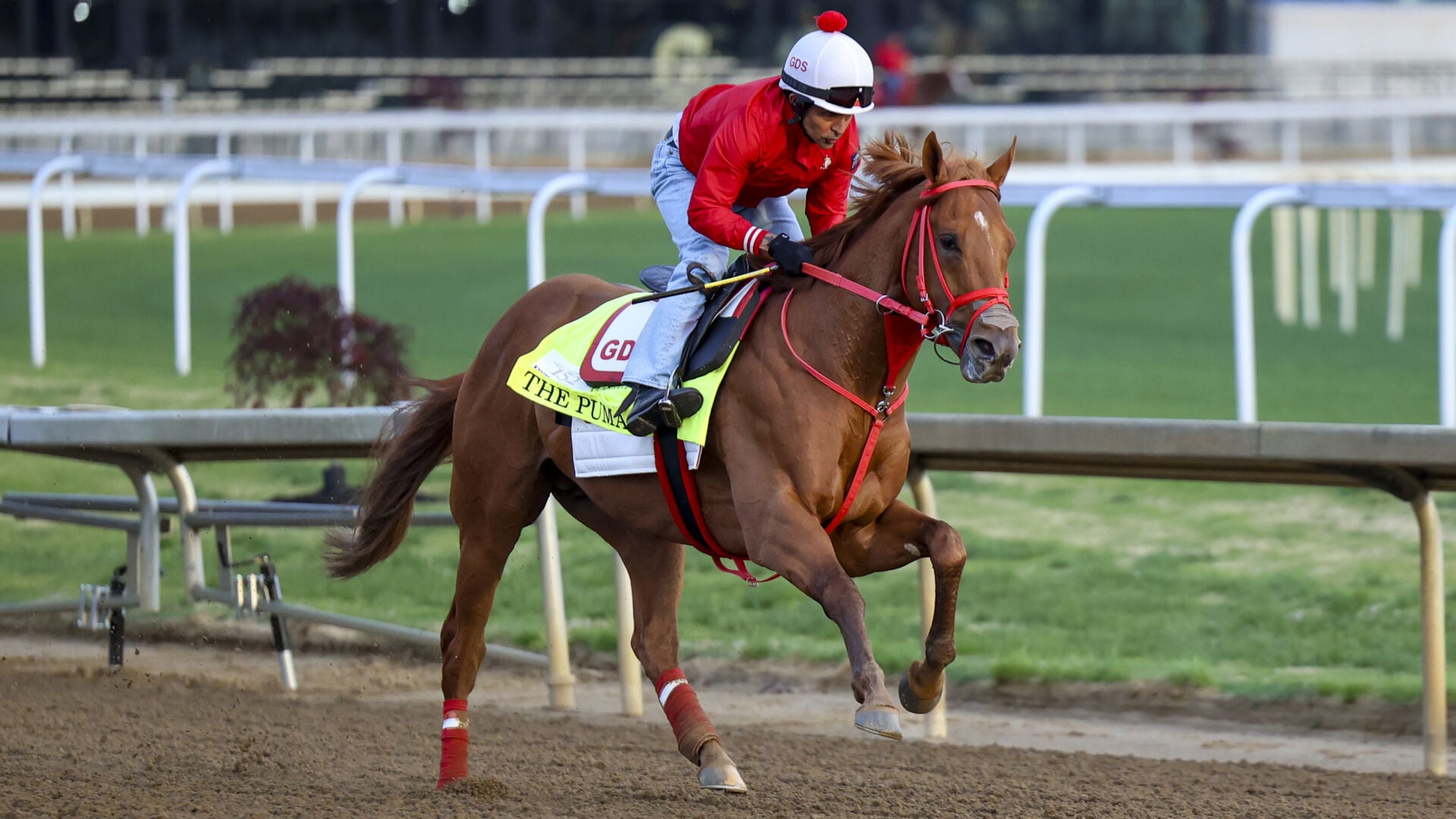 Mike Repole, the Billionaire Renegade, Returns to the Kentucky Derby With Hope and a Lawsuit — image 6