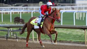 The Puma scratches from Kentucky Derby 152 Saturday morning