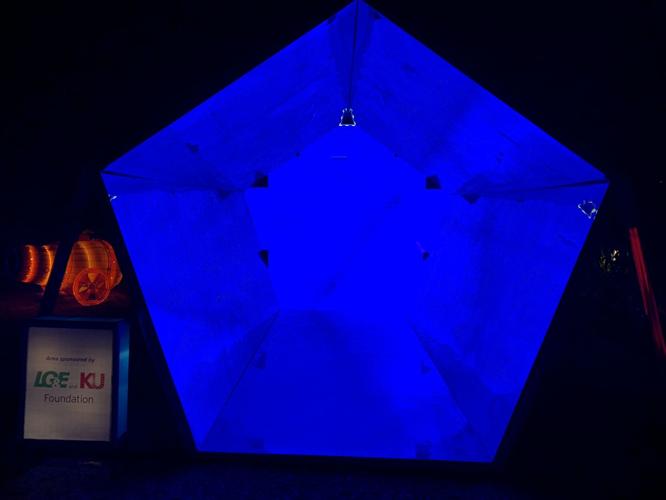 Wild Lights at Louisville Zoo