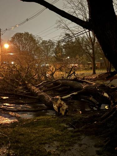 Storm damages 4.3.25 - michael strickland fern creek