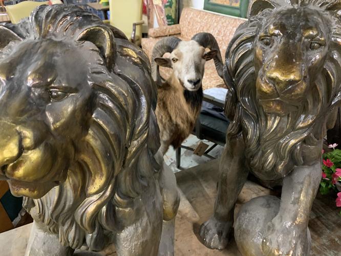 FLEUR DE FLEA KK 6-29-20.jpg