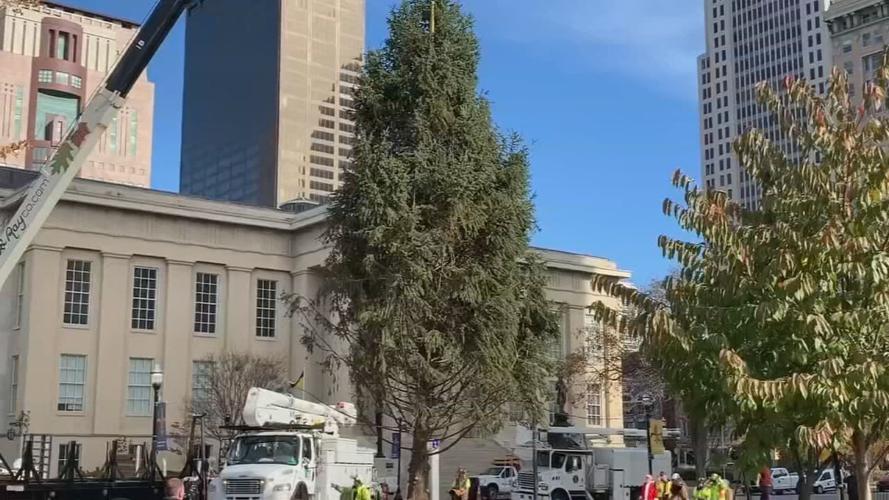 2023 Light Up Louisville Tree