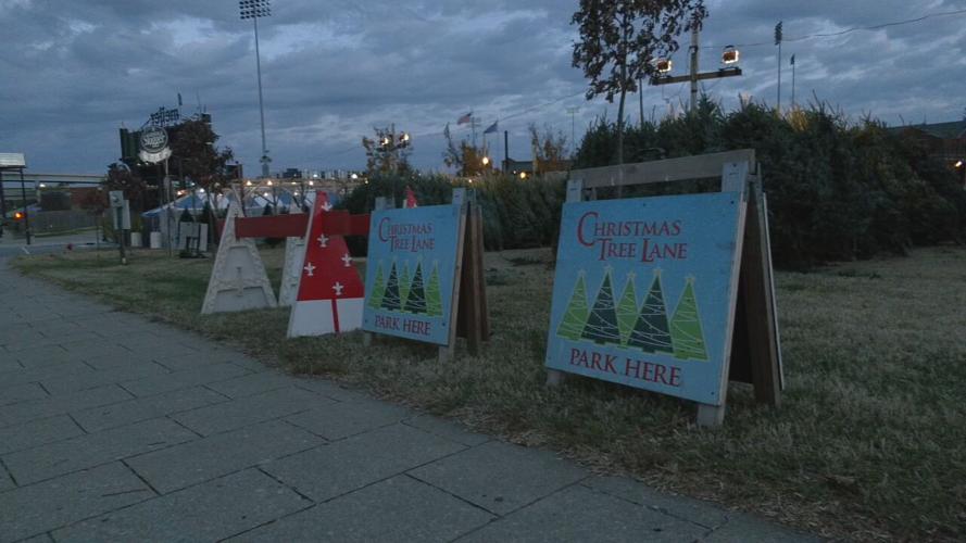 christmas tree lane.jpeg