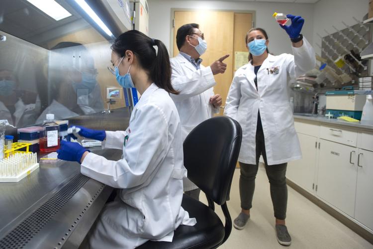 UOFL CANCER - IMMUNOTHERAPY RESEARCH - COURTESY U OF L 9-14-2020  (2).jpg