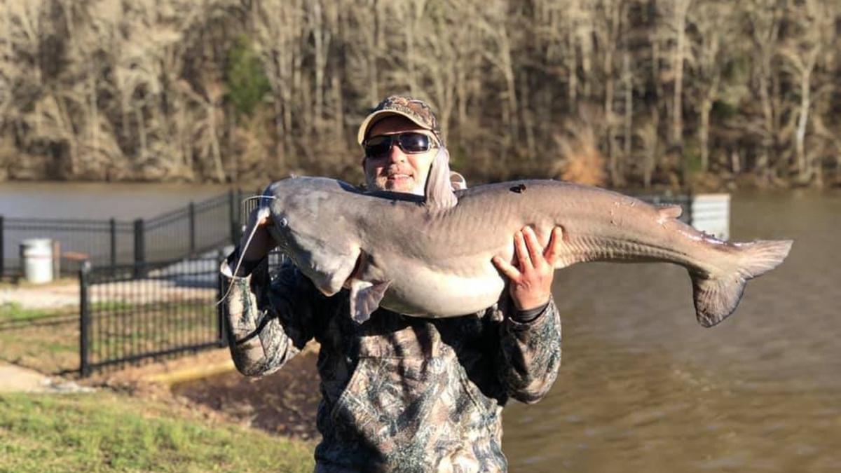 Fisherman S 50 Pound Blue Catfish Is Biggest Ever Snagged In Small Tennessee Lake National Wdrb Com
