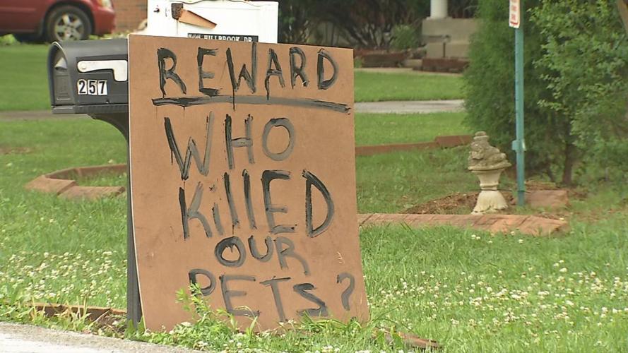 Pig Sign