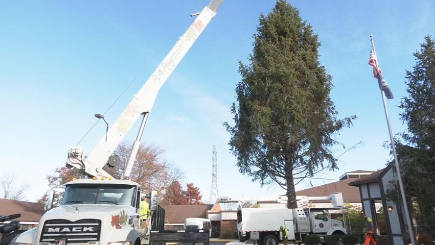 2023 Light Up Louisville Tree