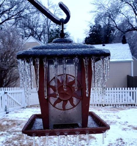 ICE - BIRD FEEDER.jpg