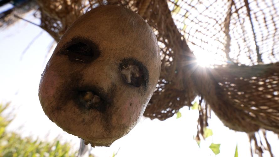 Field of Screams 2022