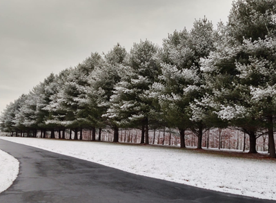 Snow Is Coming Down Across Kentuckiana!