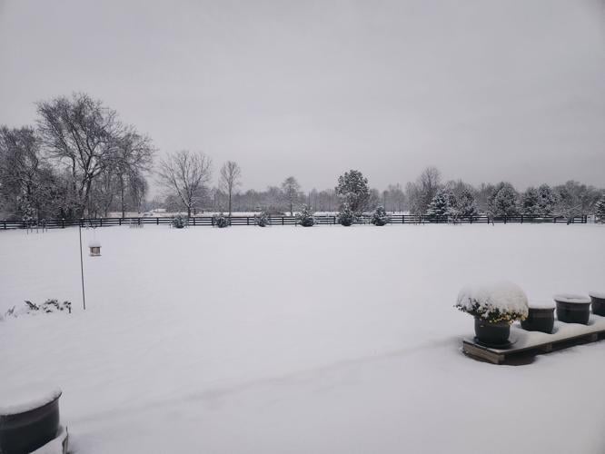 Snow in Mt. Washington