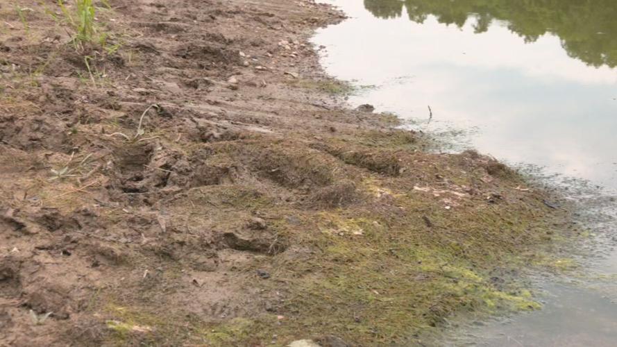 Sympson Lake in Bardstown, Ky.