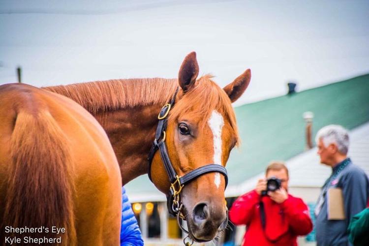 Country House, and Eric Crawford