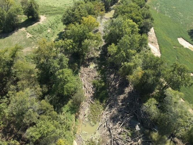 Rolling Fork River flood debris