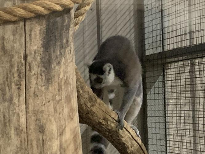 Wilstem Wildlife Park (57).JPG