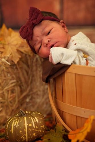 Thanksgiving newborns at Norton Hospital
