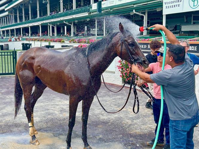 Horse Bath at Churchill Downs