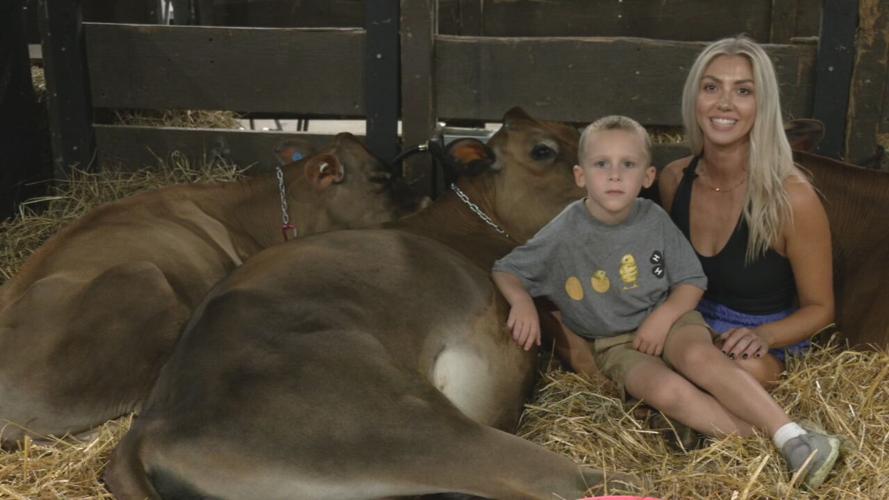 COWS Kentucky State Fair.jpeg