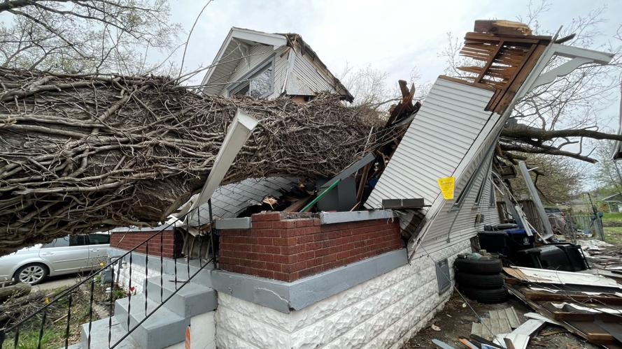 Tree on top of house off Central Avenue near Churchill Downs 4-6-23.jpg