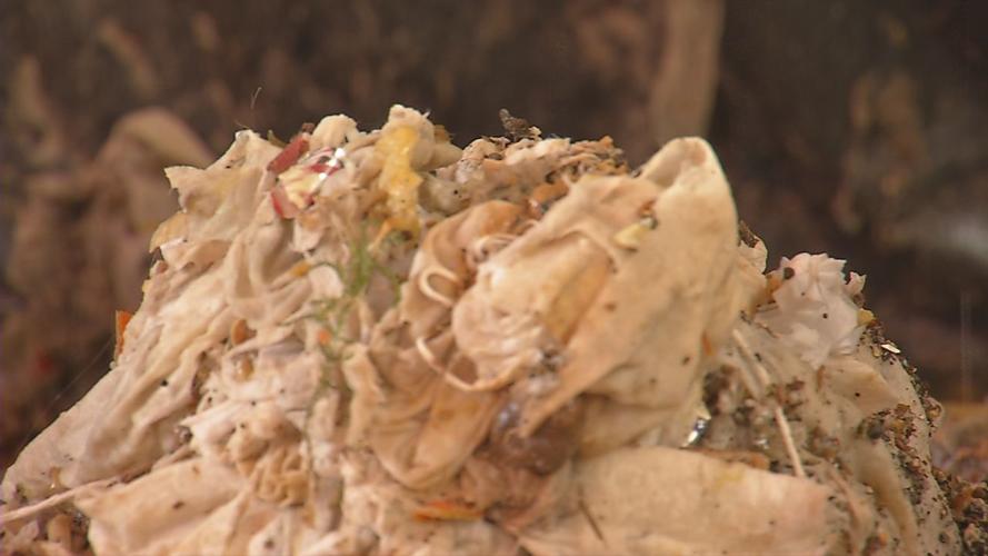 MSD: What not to flush down the toilet