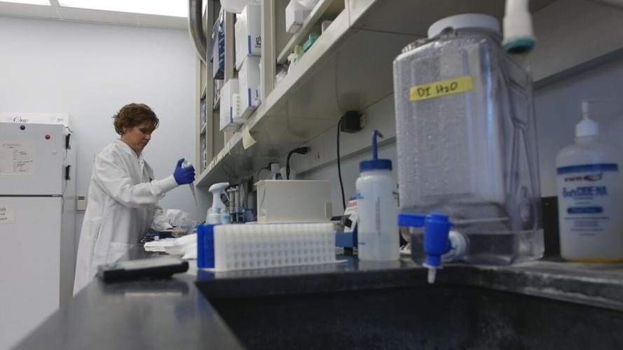 Regina Wells at Frankfort laboratory